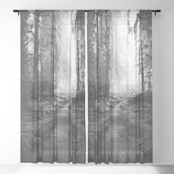 Sheer Curtain