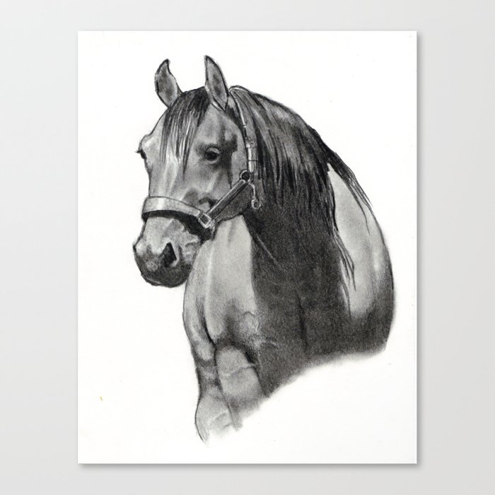 Horse Head In Pencil Equine Art Drawing Canvas Print By Joyart
