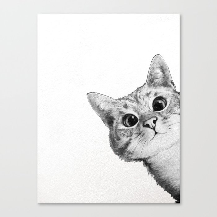 sneaky cat Canvas Print