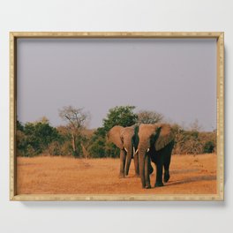 elephants during sunset Serving Tray