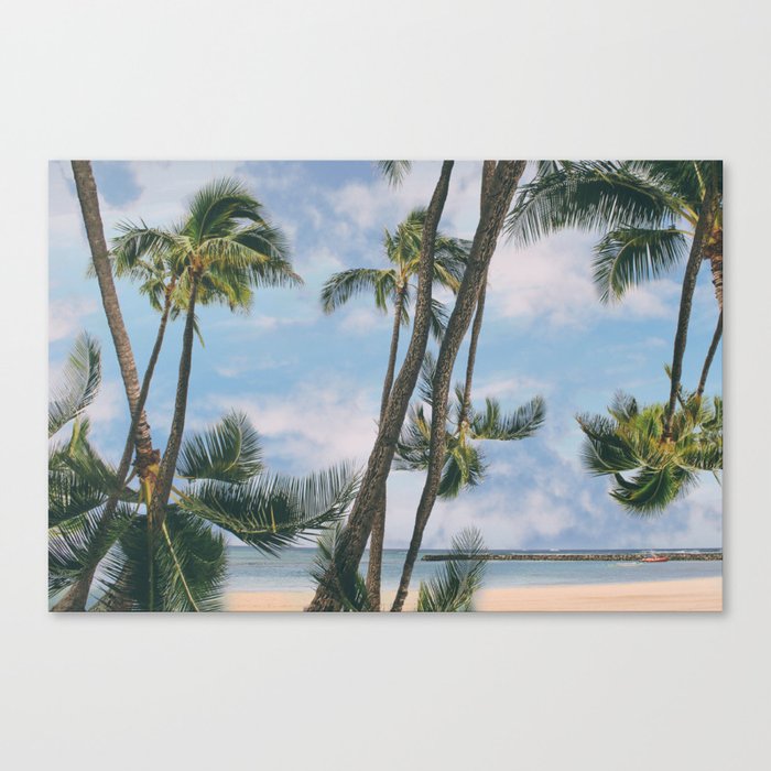 palmy Canvas Print