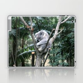 Snoozing Koala Laptop & iPad Skin