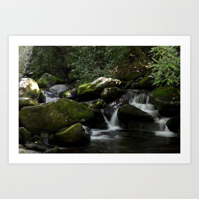 Waterfalls in the Great Smoky Mountains Art Print