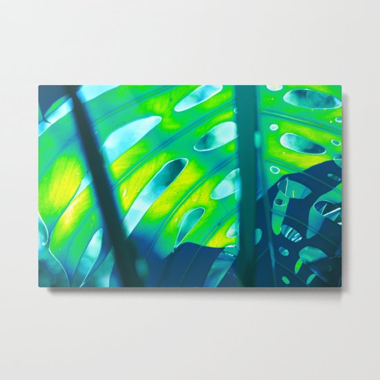 Tropical Exuberance III Metal Print
