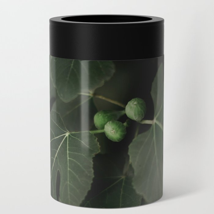 Fig Tree No. 11 Moody Botanical Photography Can Cooler