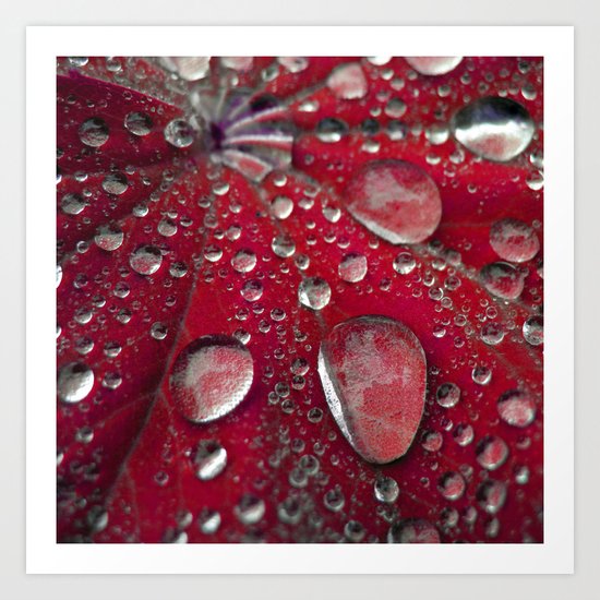 water drops abstract VI Art Print