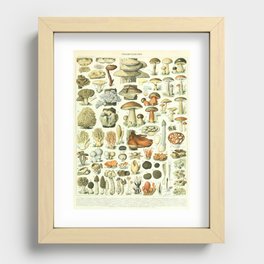 Vintage French Illustration - Champignons - Mushrooms  Recessed Framed Print