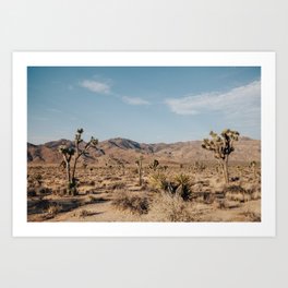 Joshua Tree, CA Art Print