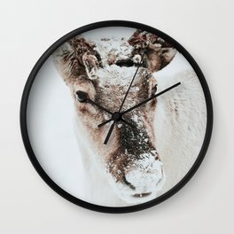 Reindeer Photo | Winter Wildlife Photography |  Reindeer With Antlers Wall Clock