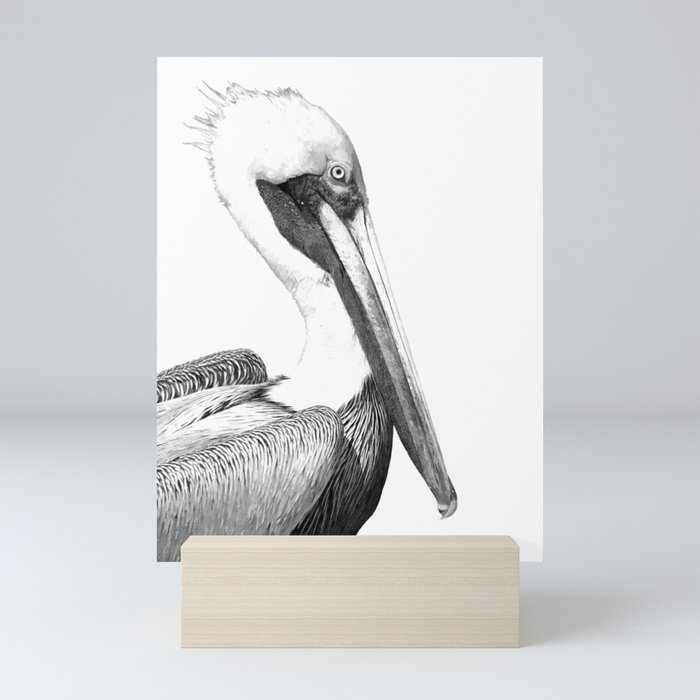 Black and White Pelican Mini Art Print