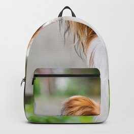 Portrait of a papillon dog Backpack