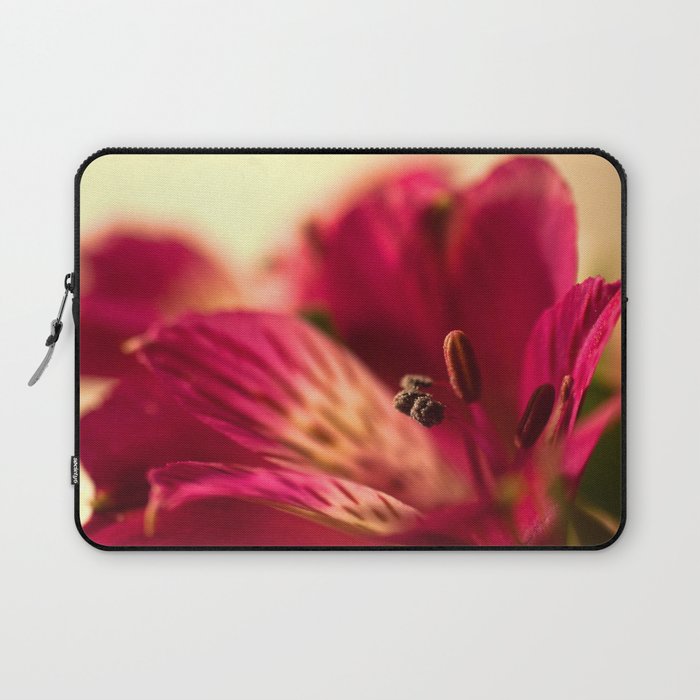 {lily the pink} Laptop Sleeve