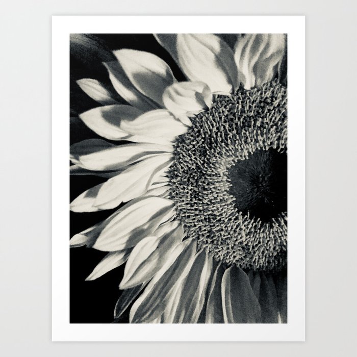 pics Sunflower Artwork Black And White black white sunflower art print by laurenoujiri