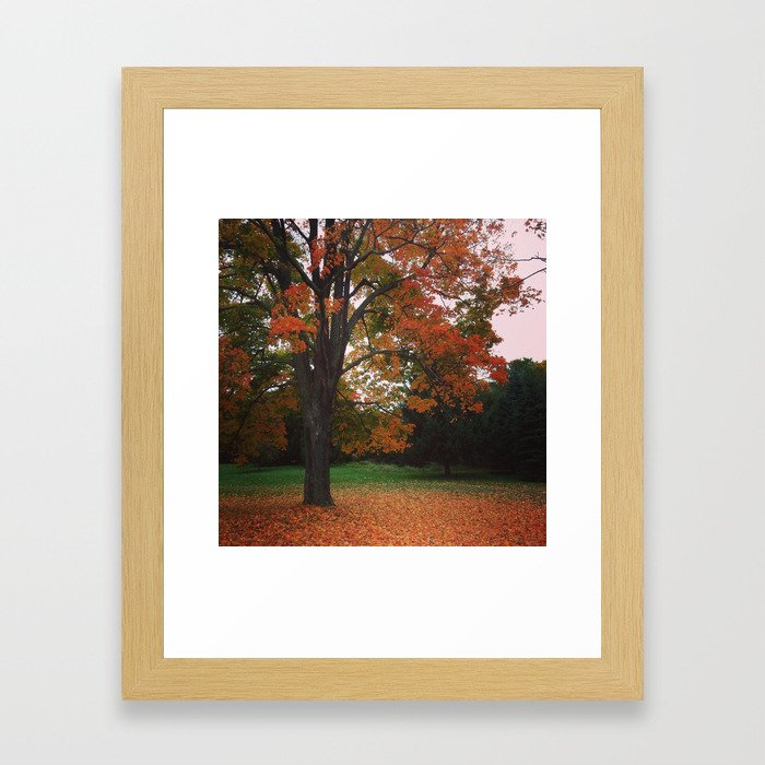 The Falling Leaves Framed Art Print