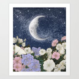 Moonlight in the Garden Colour Version Art Print