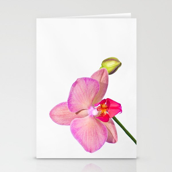 Orchid Pink Stationery Cards