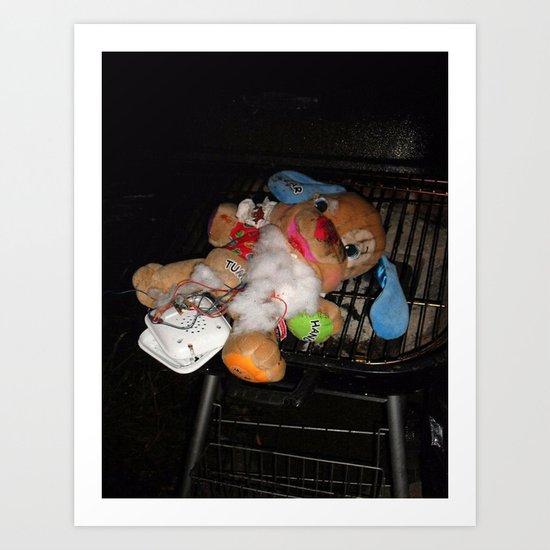 Ragdoll photograph Art Print
