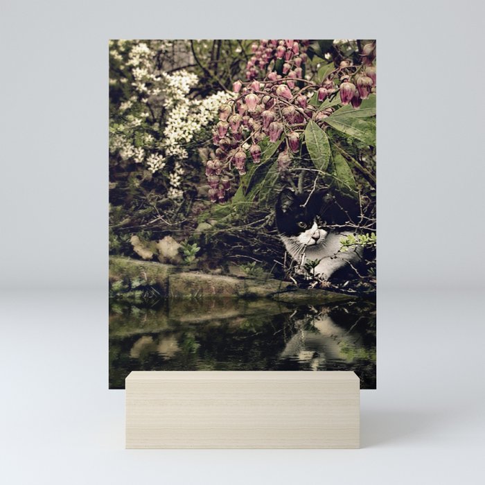 the pond Mini Art Print