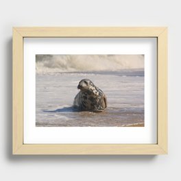 horsey seal Recessed Framed Print
