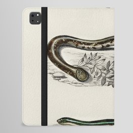 Spotted Worm Lizard, Blind Snakes, & Shield Tail Snakes iPad Folio Case