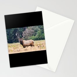 Deer Hunting Stationery Cards