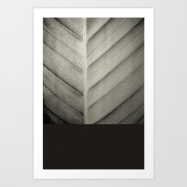 Leaf Black & White Art Print