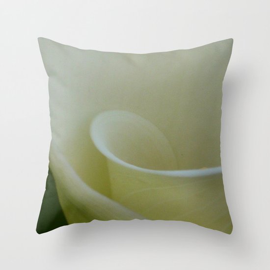 Inside the world Throw Pillow