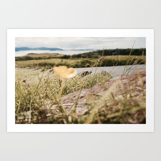Clarity Art Print