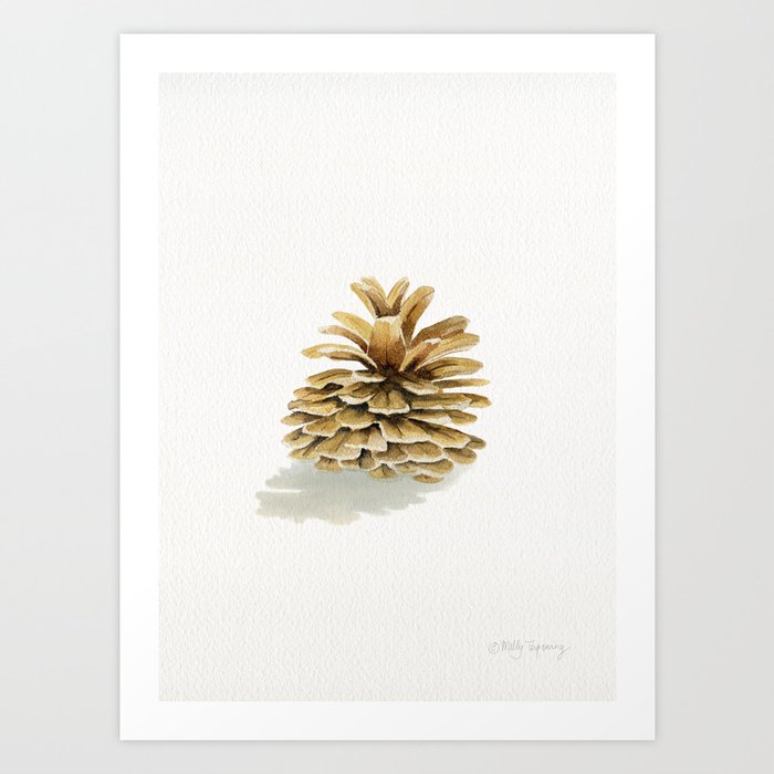 Pine Cone 1  Art Print