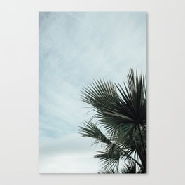Palm Springs V Canvas Print