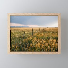 Golden Fields of Colorado Framed Mini Art Print