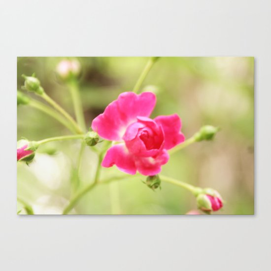 New Beginnings Canvas Print