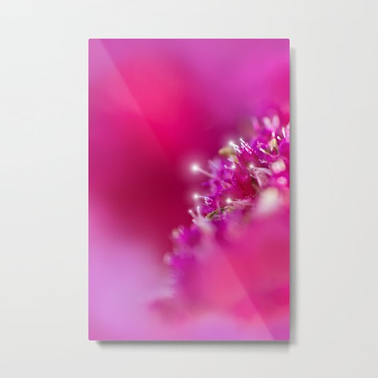 PREZIOSO Metal Print