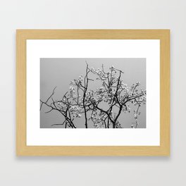 White Spring Framed Art Print