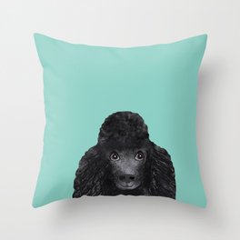 Toy Poodle black poodle pet portrait custom dog art dog breeds by pet friendly Throw Pillow
