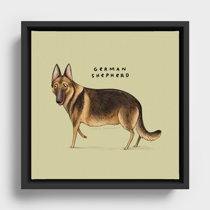 Framed Canvas