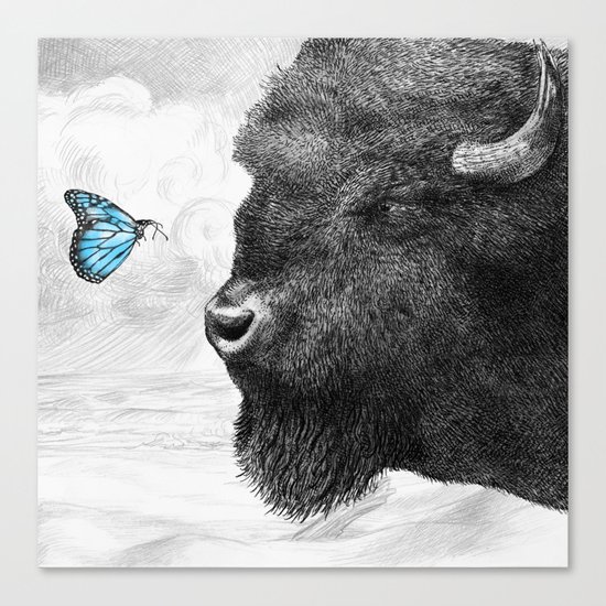 Bison and Butterfly (square format) Canvas Print