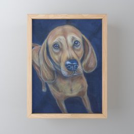 Red bone coonhound dog Framed Mini Art Print