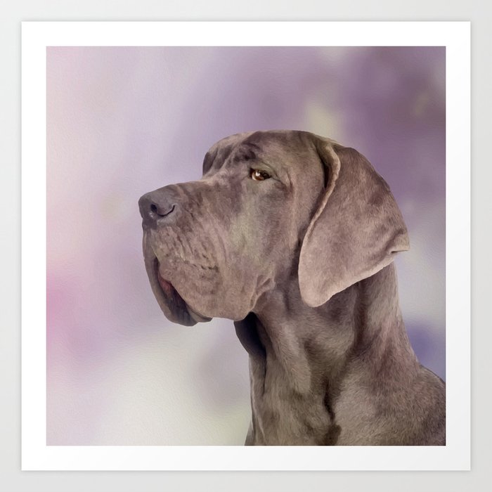 Great Dane Deutsche Dogge Art Print By K9printart