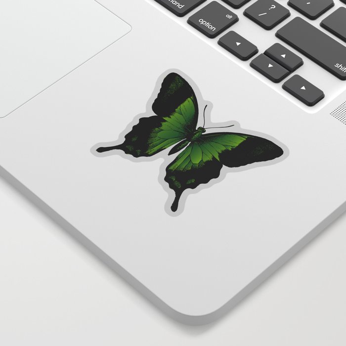 Green Butterfly | Vintage Butterfly | Green and Black | Sticker