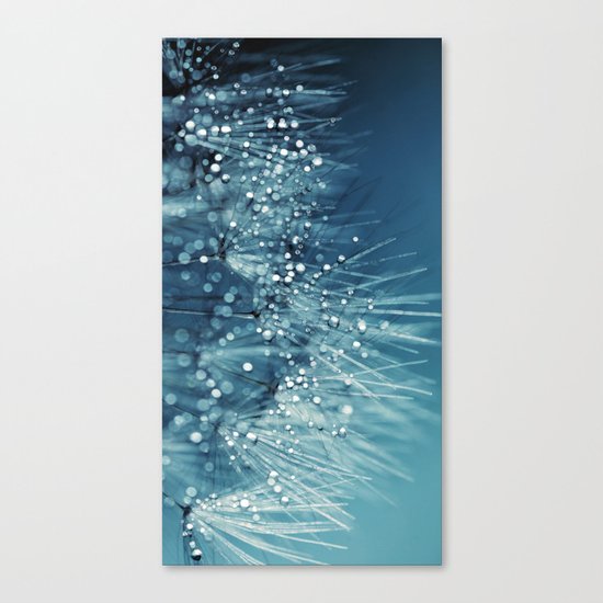 Silence of Light Canvas Print
