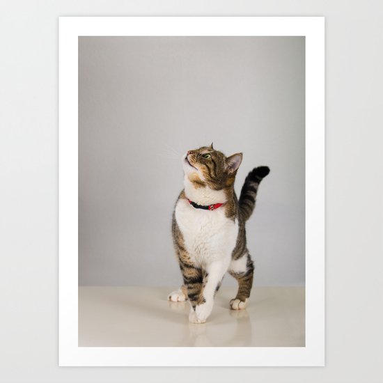 What's Up Kitty! PRINT
