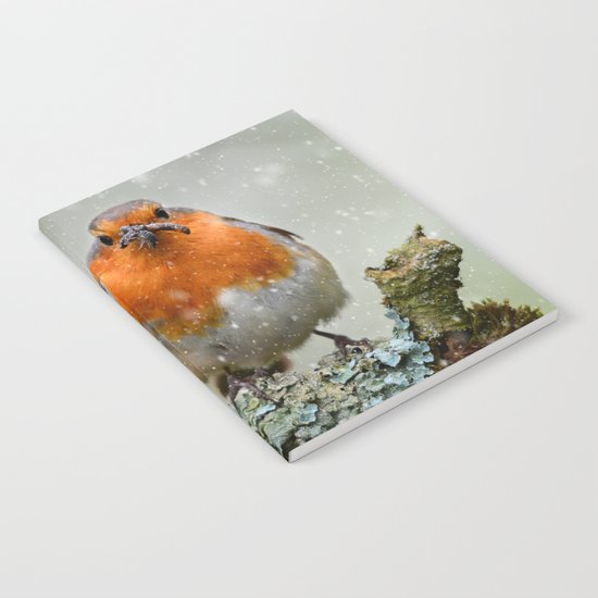 Chubby Winter Robin Notebook