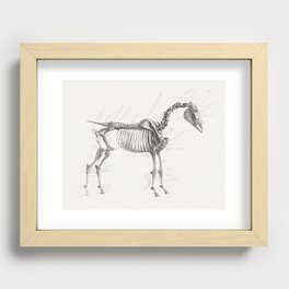 The Anatomy of the Horse Recessed Framed Print