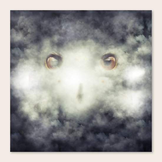Eagle Fog Canvas Print