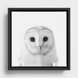 Owl Framed Canvas