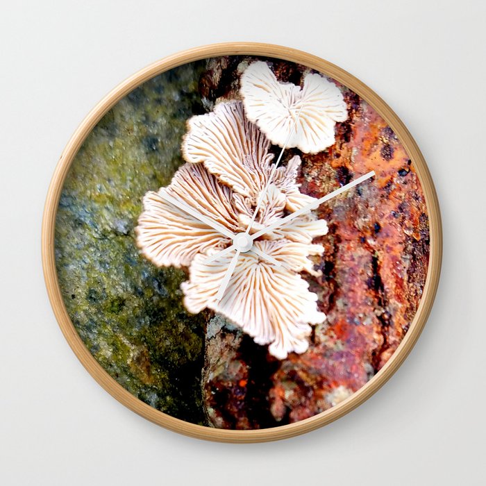 Tree Fungus Wall Clock