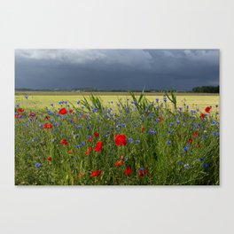 Summer Thunderstorm looming over a freshly mowed field and poppy flowers. | Nature & landscape photography from Holland | Fine art photo print in color.  Canvas Print