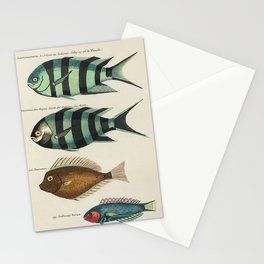 fish by Louis Renard Stationery Card