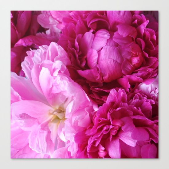 Peony Dreams Canvas Print